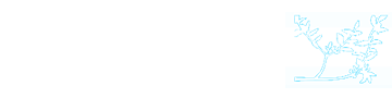 Southwoods Dental Practice